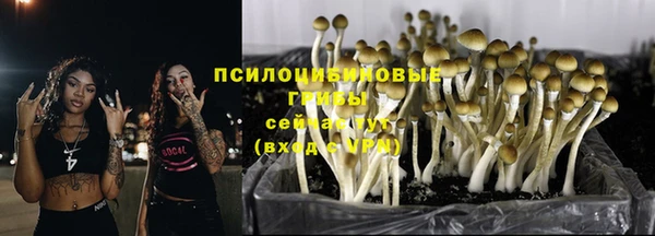 спиды Каменка