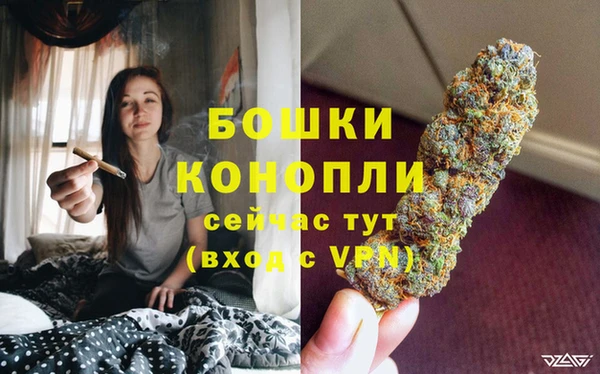 прущие крисы Каменногорск