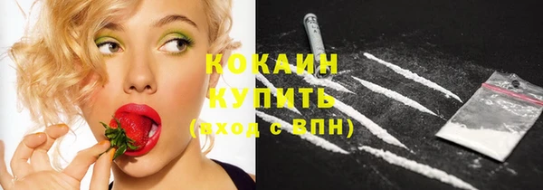 спиды Каменка