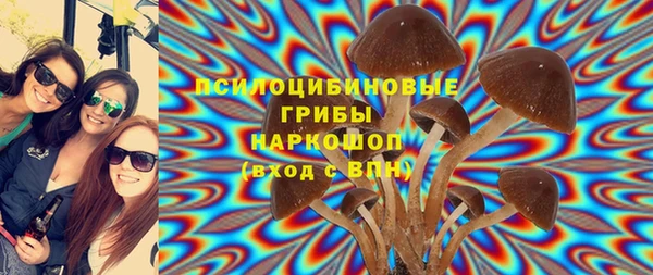 прущие крисы Каменногорск