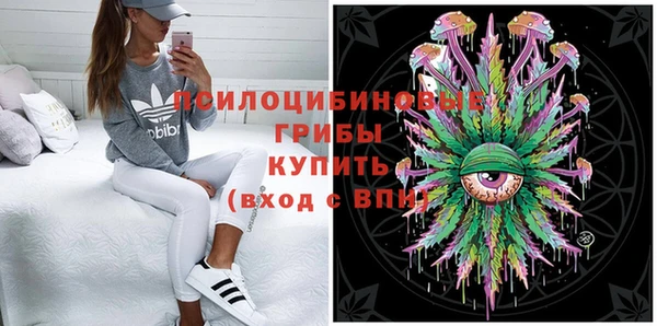 спиды Каменка