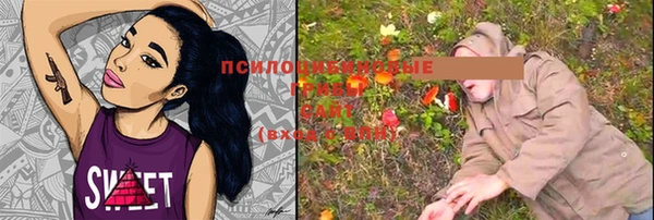 спиды Каменка