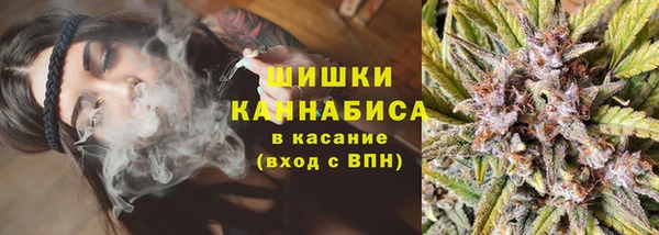 спиды Каменка